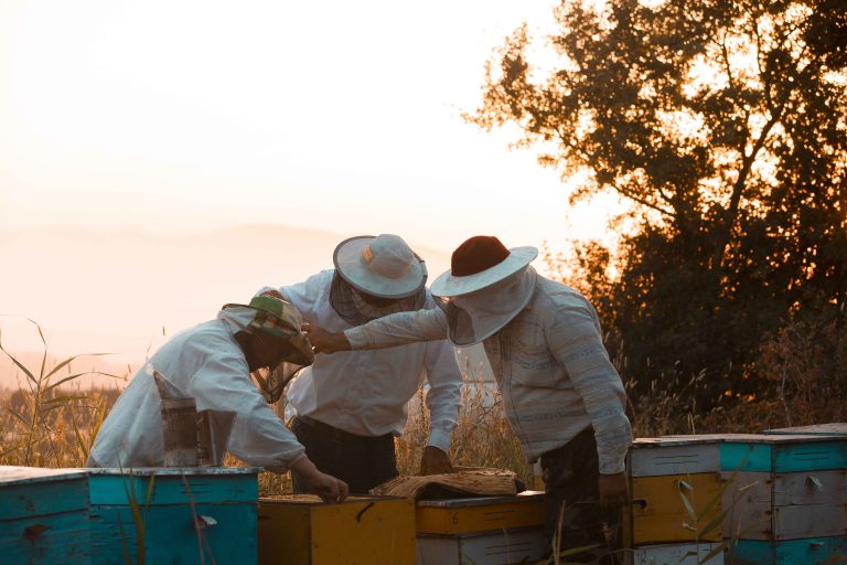 apicoltori-azienda-agricola